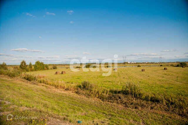 земля р-н Тобольский с Ворогушино ул Центральная фото 5