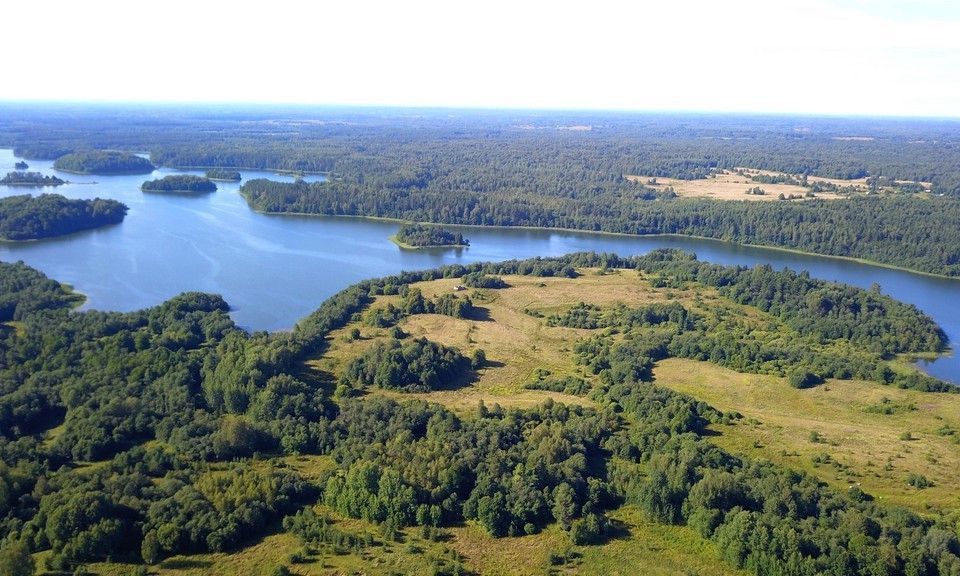 земля р-н Пустошкинский фото 9