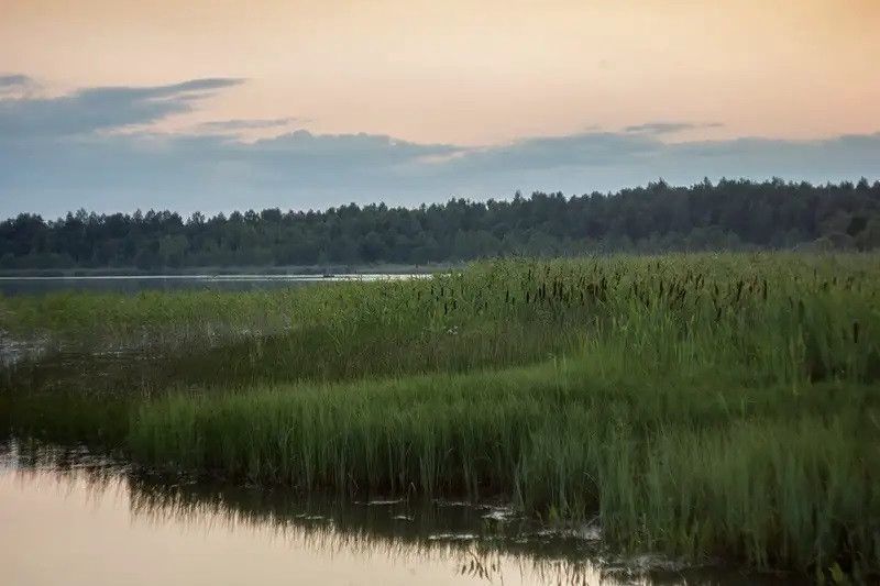 земля р-н Калининский фото 6