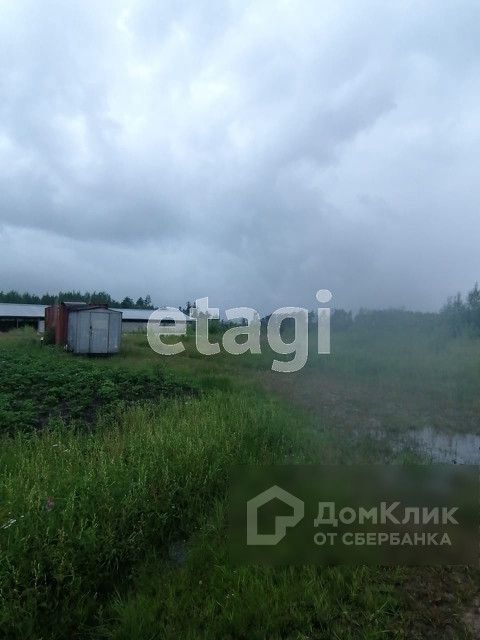 земля г Нижневартовск фото 7