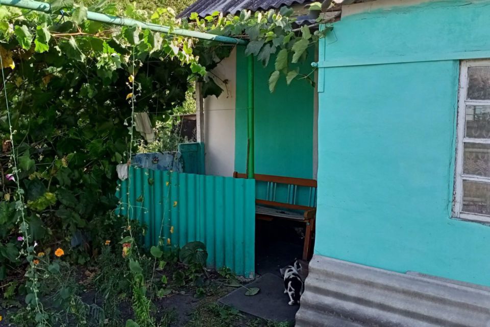 дом р-н Добринский с Приозерное ул Зеленая 10 фото 3