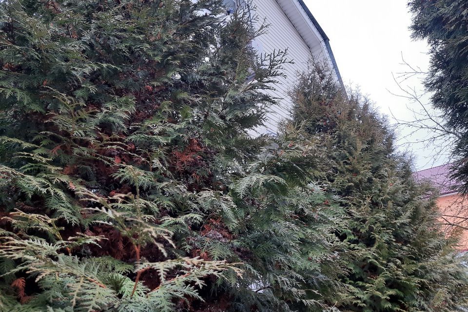 дом р-н Богородский г Богородск ул Маяковского фото 2