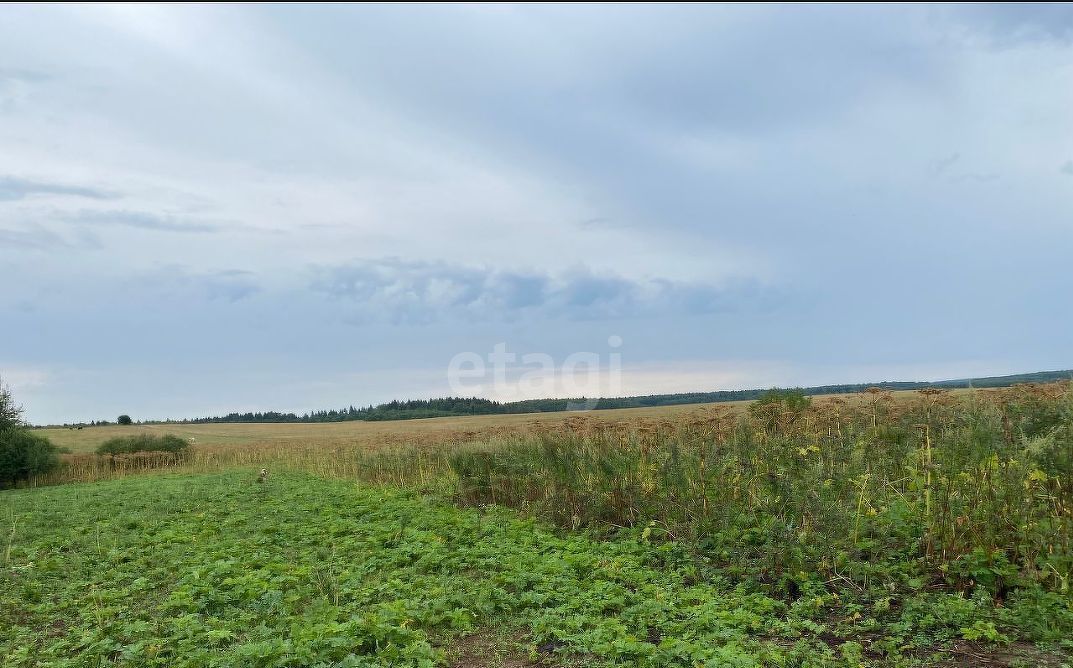 земля г Видное Расторгуево фото 5