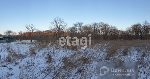 туп Лесной фото