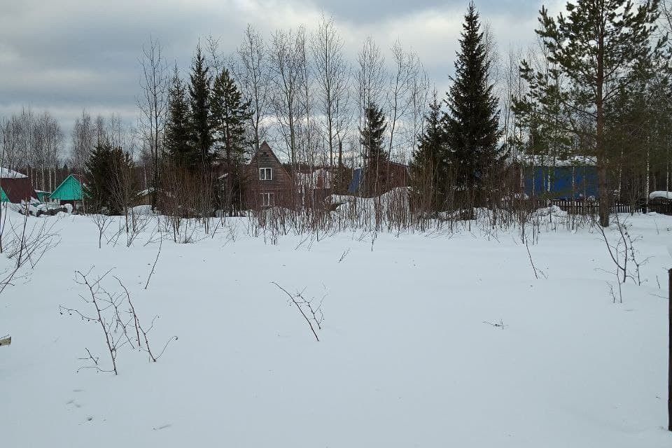 земля р-н Сыктывдинский фото 2