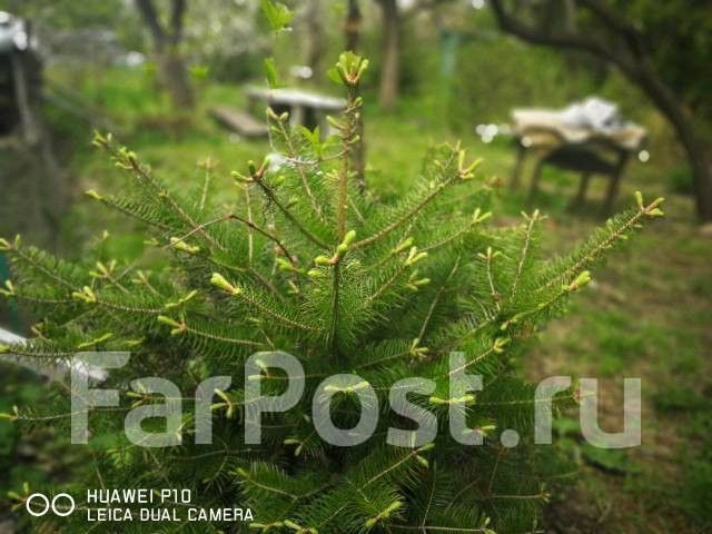 р-н Советский снт Пенсионер дом 27д фото