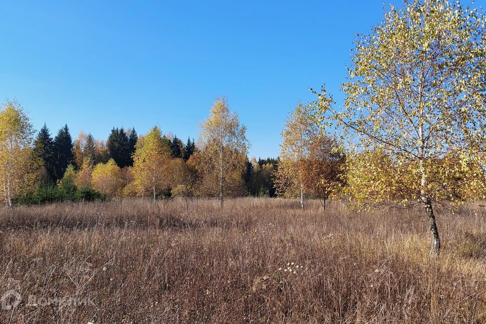 земля р-н Боровский фото 2