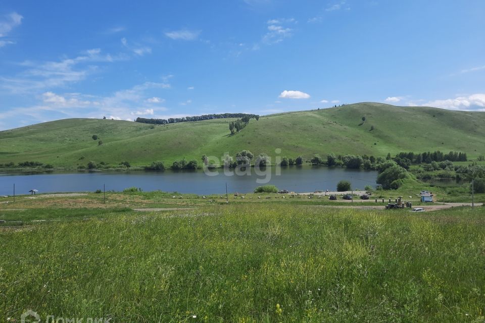 земля р-н Алтайский фото 1