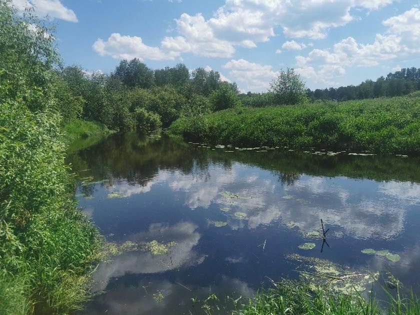 земля р-н Нижнетавдинский фото 4