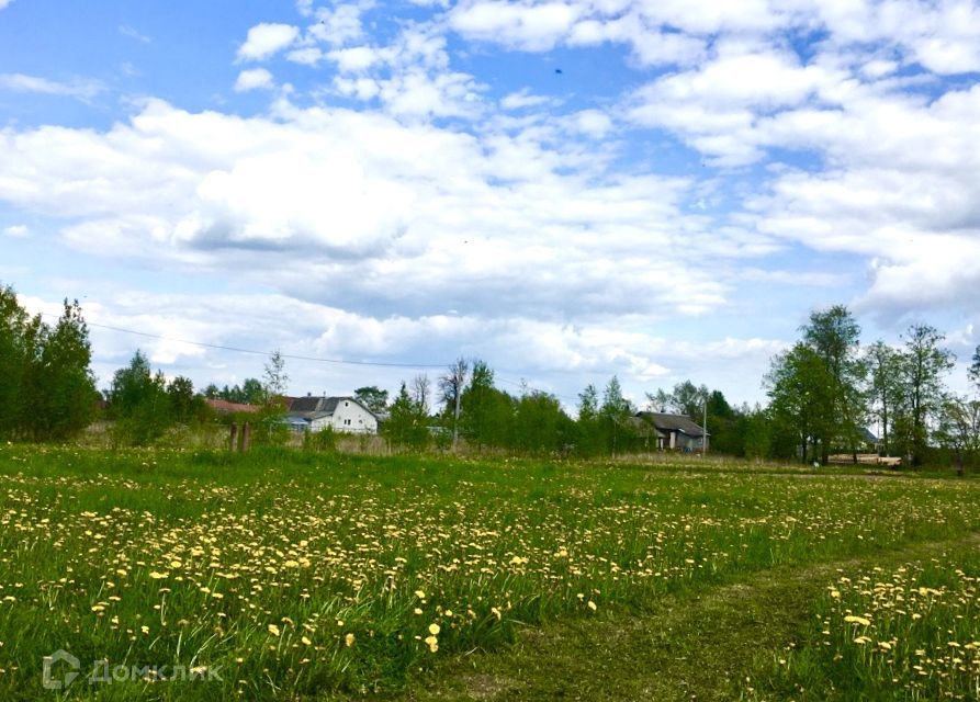 земля р-н Ростовский фото 1