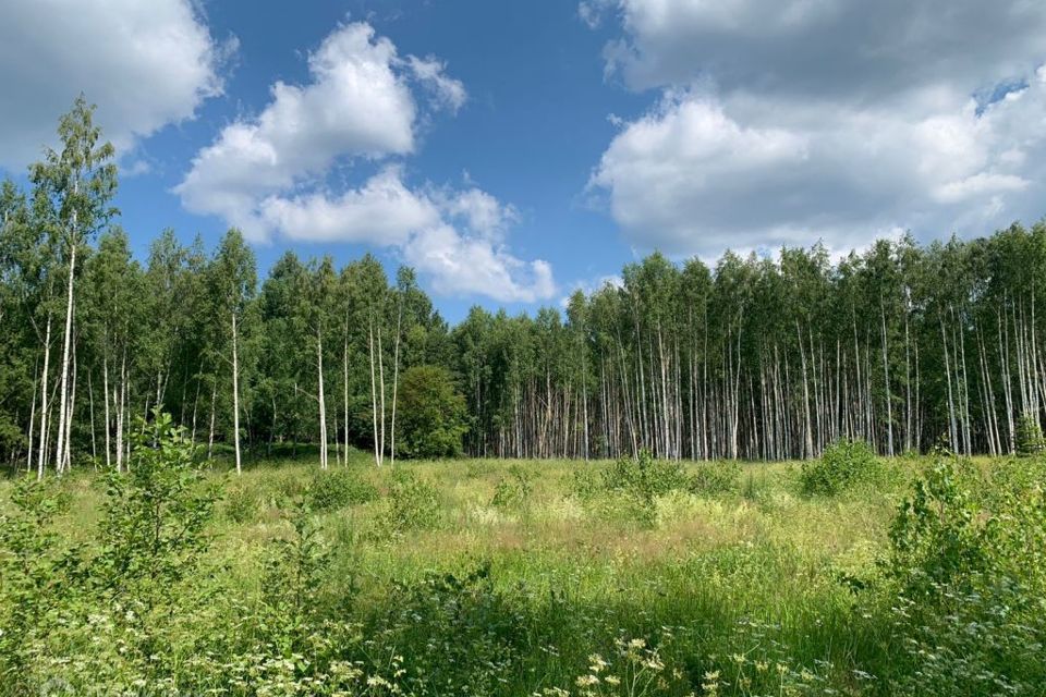 земля р-н Переславский д Подберезье ул Центральная фото 2