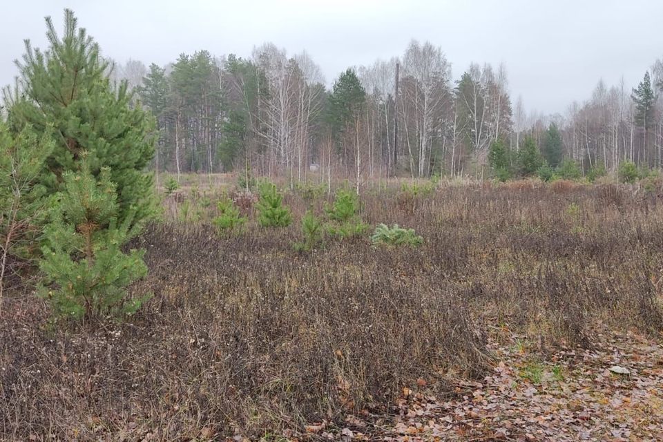 Купить Участок Юрково Сокольский Район Нижегородская Область