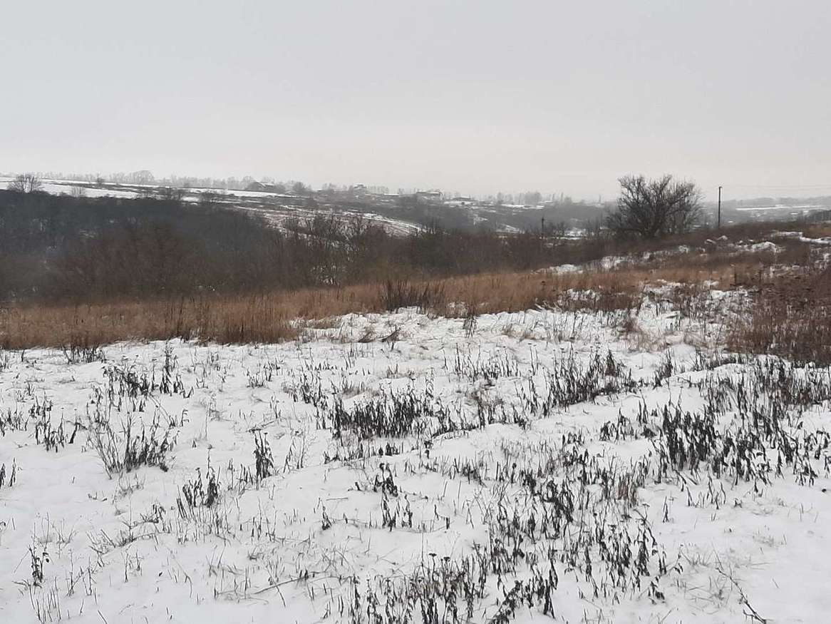 земля р-н Белгородский с Крутой Лог ул Мичурина фото 3