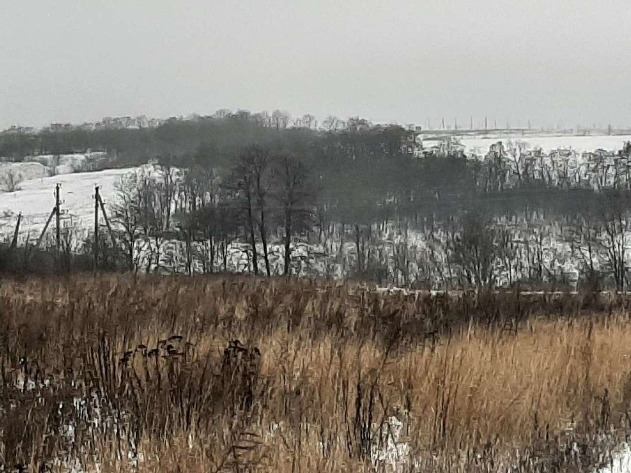 земля р-н Белгородский с Крутой Лог ул Подлестная фото 3