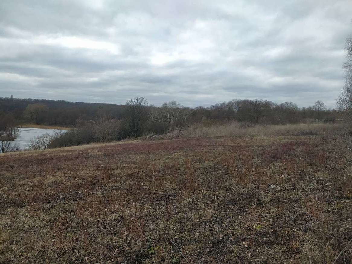 земля р-н Белгородский с Головино ул Новая фото 3