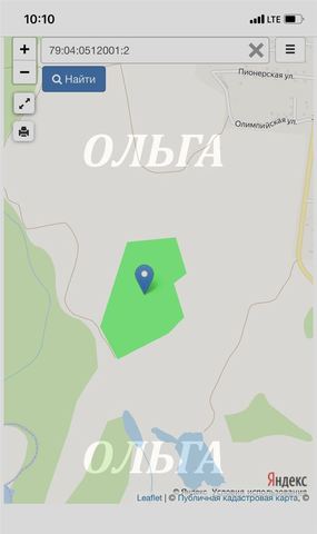 р-н Биробиджанский с Валдгейм фото