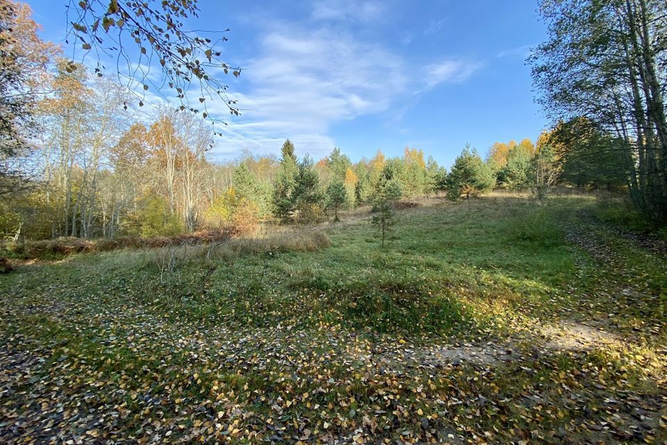 земля р-н Струго-Красненский фото 1