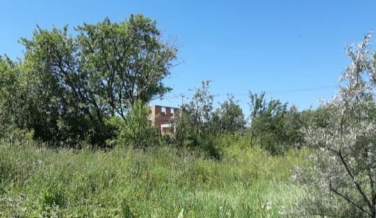 земля г Ставрополь садовое товарищество Луч, Дёмино фото 1