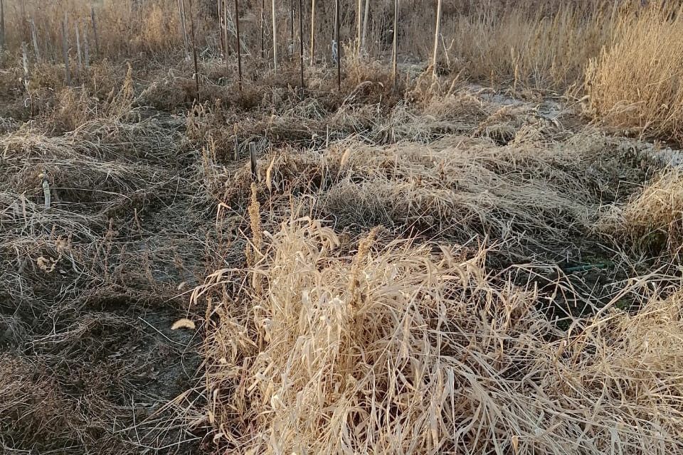 дом г Орск р-н Октябрьский Мостострой ул 1-я Горная 41 фото 3