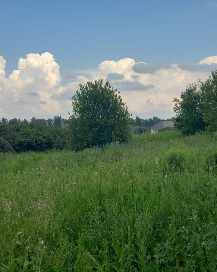 земля г Нижний Новгород Парк культуры 113, садоводческое некоммерческое товарищество Колос фото 2
