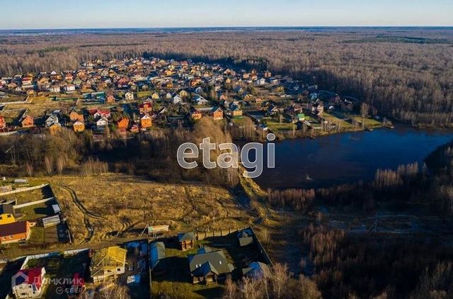 земля фото