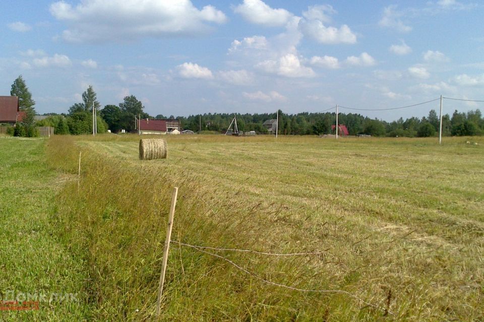 земля р-н Волосовский фото 2