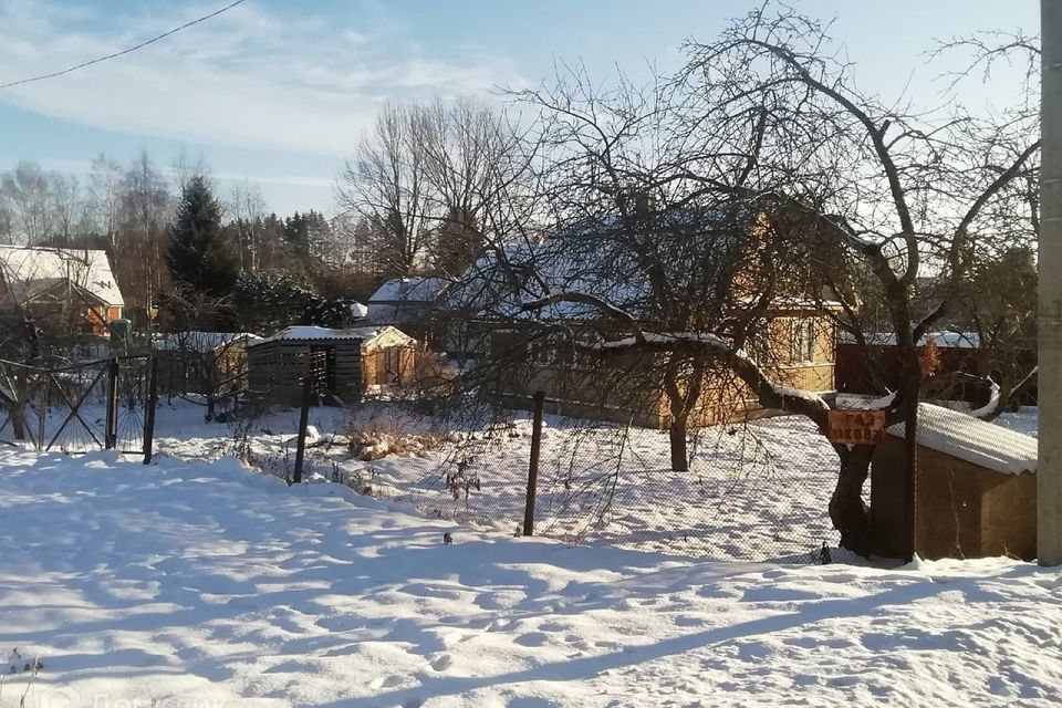 дом р-н Лужский д Надевицы ул Центральная фото 5