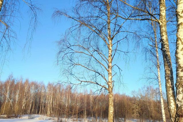 ул Непокорённых Ленинградцев фото