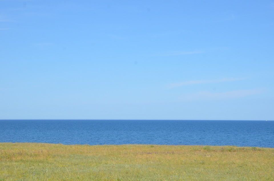 земля р-н Черноморский с Межводное ул Приморская 100 фото 6