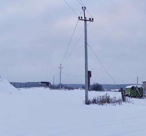 р-н Завьяловский с Ягул фото