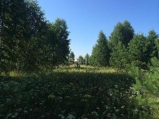 земля р-н Ишимский п Зеленый коттеджный посёлок Зелёный город, КП, Ярково фото