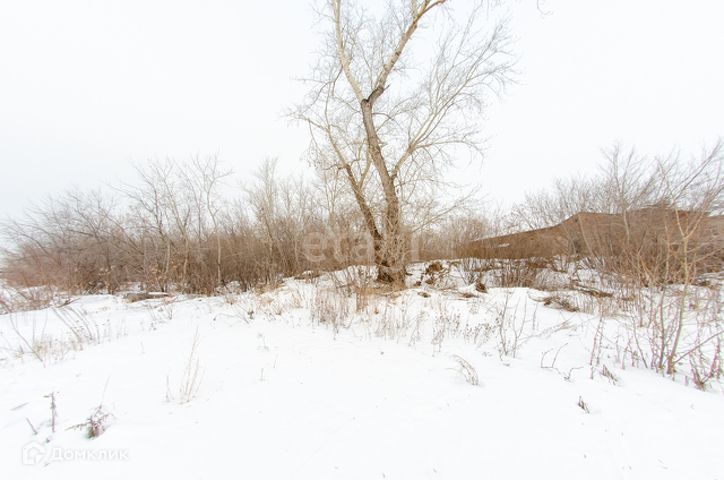 земля г Шадринск ул Труда 25 фото 4