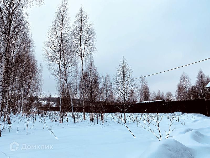 земля городской округ Дмитровский фото 2