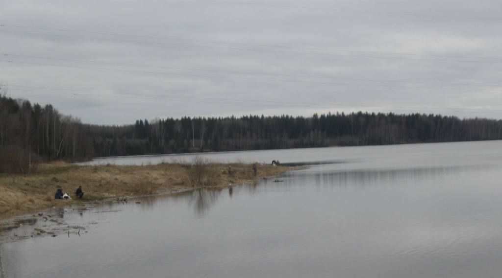 земля г Щёлково снт Планета 37, Волоколамский городской округ фото 2