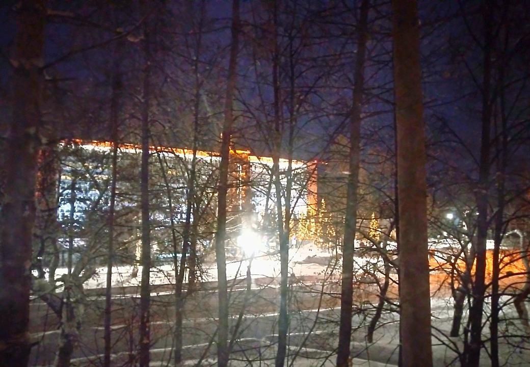 квартира г Новосибирск р-н Советский Академгородок ул Мусы Джалиля 12 фото 2