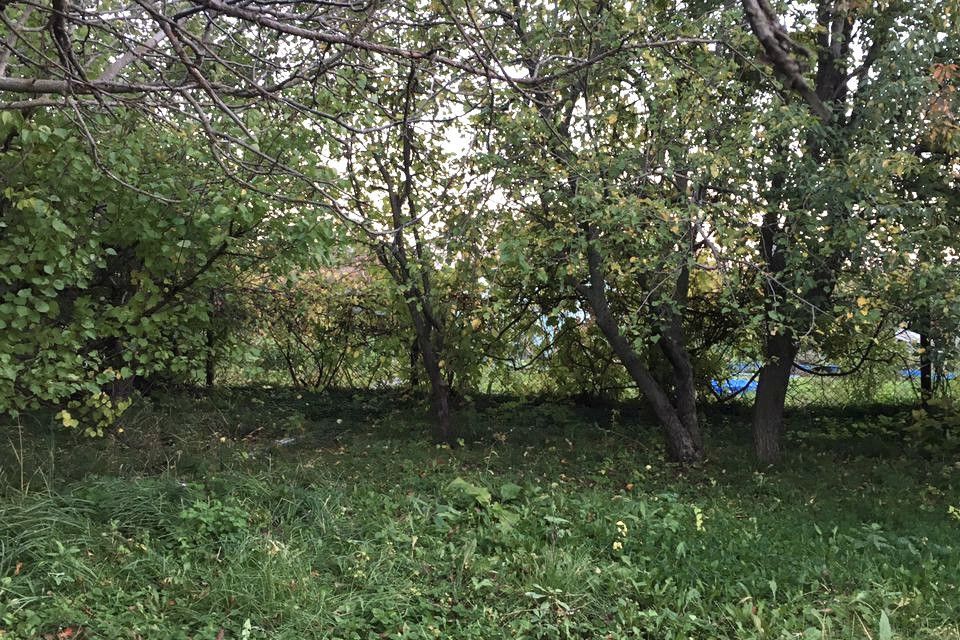 Купить Сад В Снт Дзержинец Челябинск