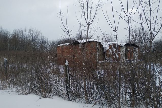 с Перкино ул Полевая фото