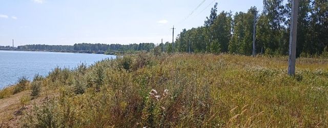 р-н Новосибирский дп Кудряшовский сельсовет, дачное товарищество Славянка, Новосибирск фото