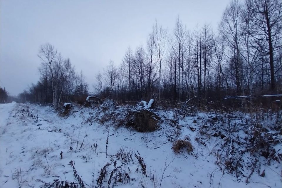 земля г Южно-Сахалинск фото 2