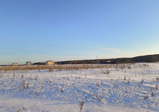 городской округ Домодедово д Гальчино Домодедово фото