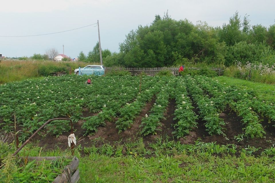 земля р-н Томский фото 3