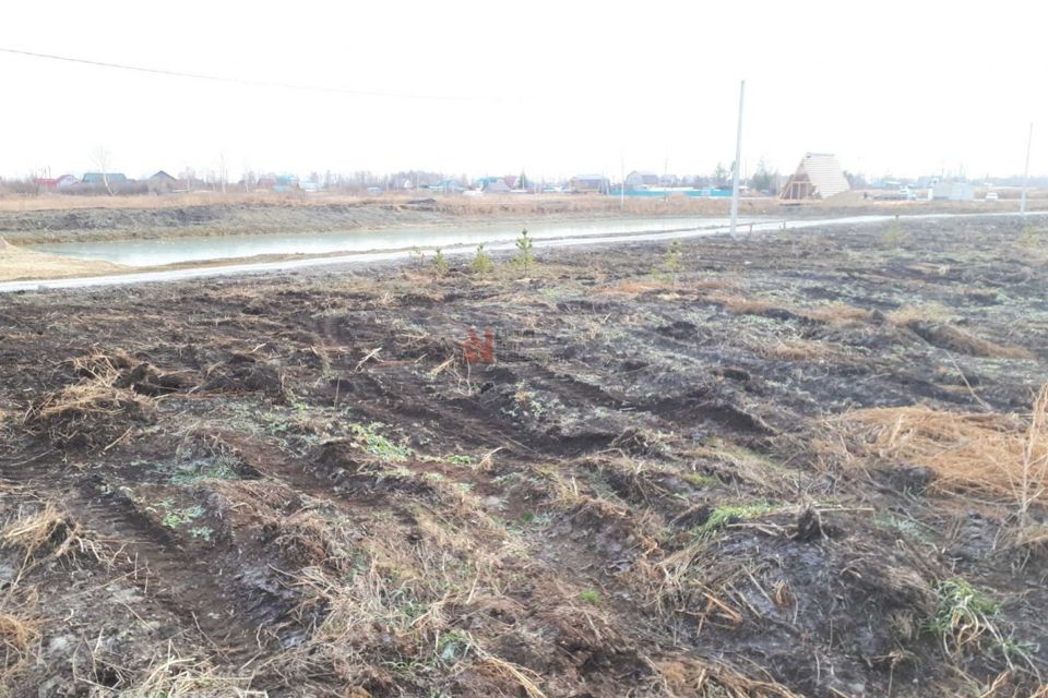 земля г Тюмень фото 7