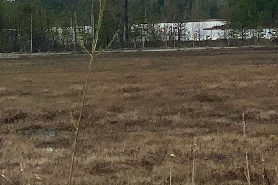 земля г Нижневартовск фото 2
