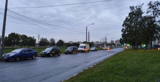 г Санкт-Петербург метро Академическая ул Вавиловых 17к/1 фото