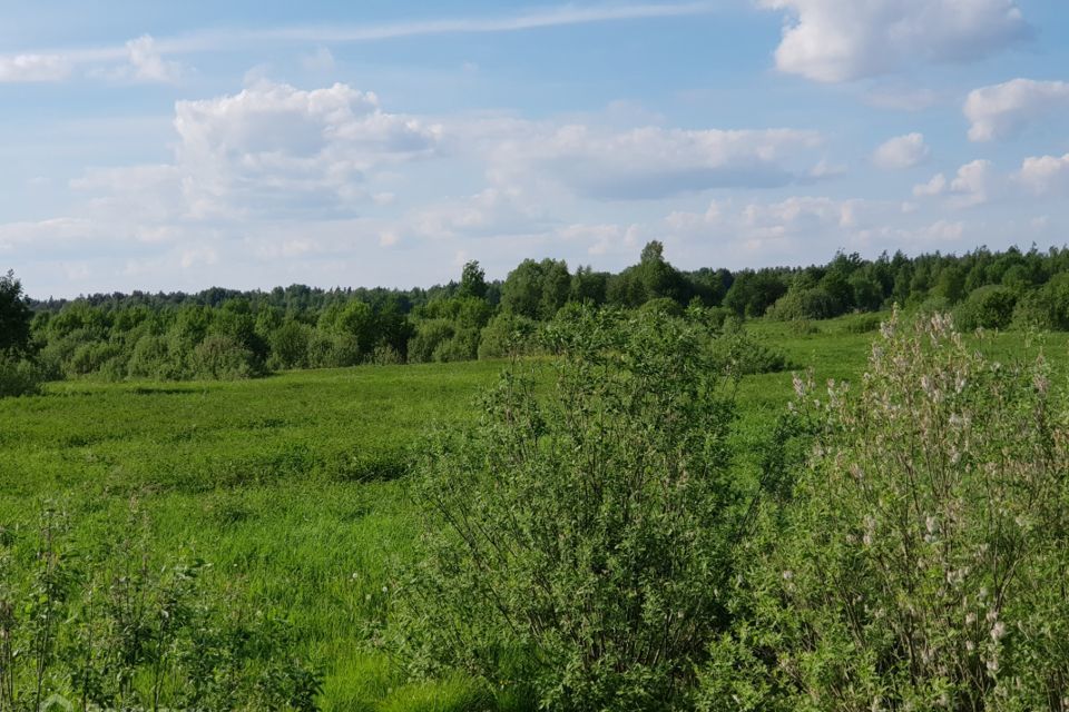 земля р-н Калязинский фото 3