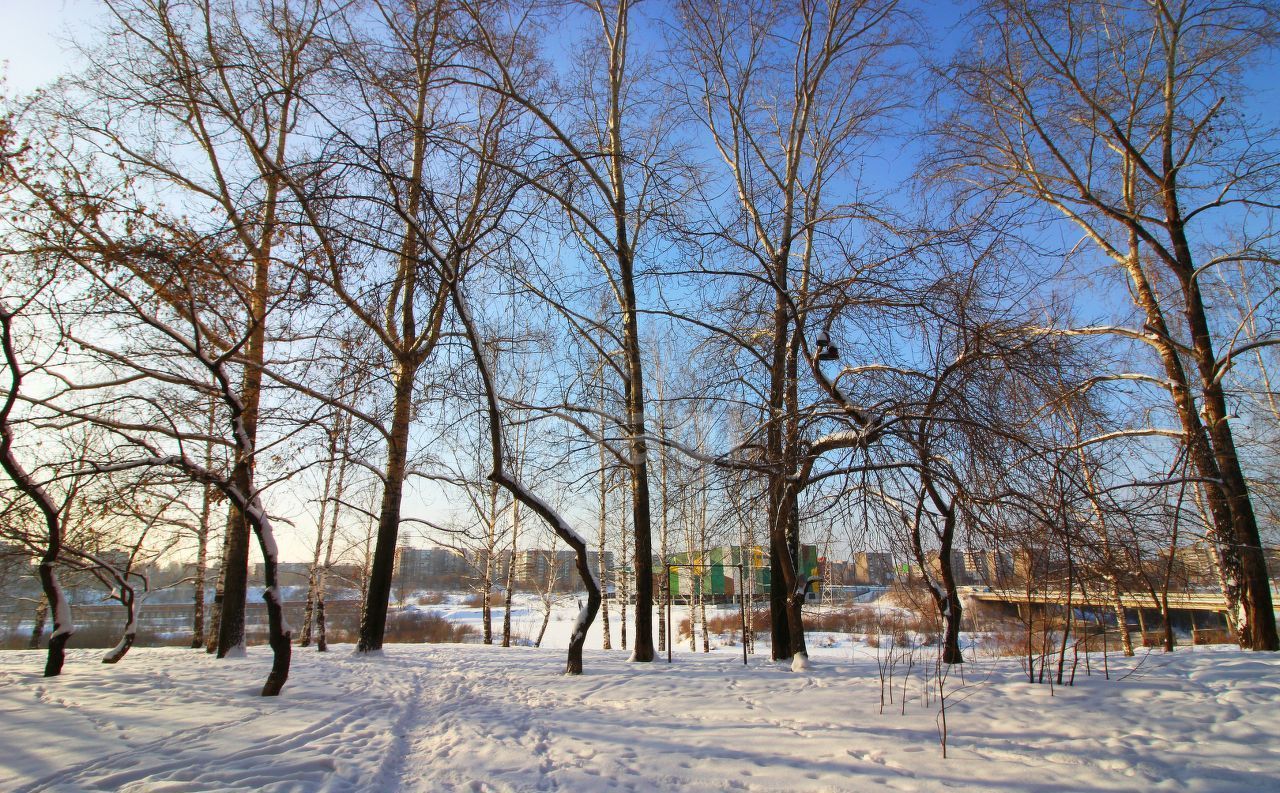 квартира г Нижний Тагил р-н Тагилстроевский Красный камень ул Победы 56 фото 17