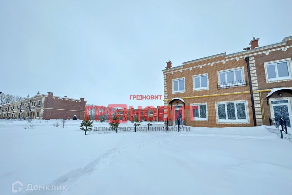 дом р-н Новосибирский п Элитный фото 7