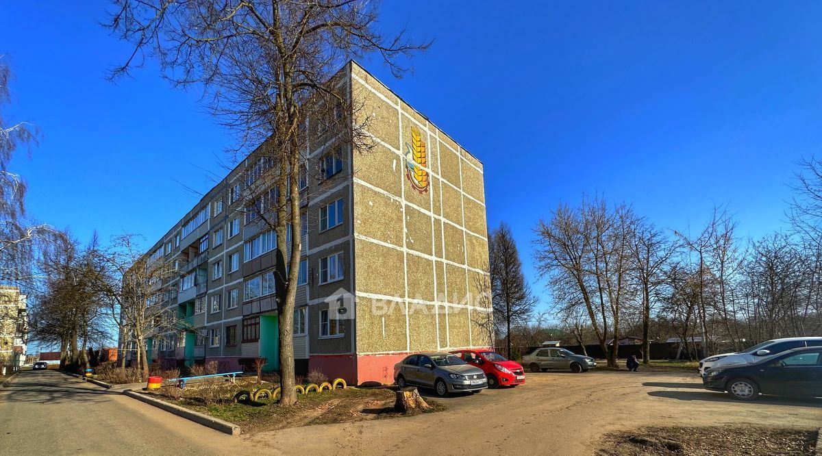 квартира городской округ Воскресенск с Федино 19 фото 28