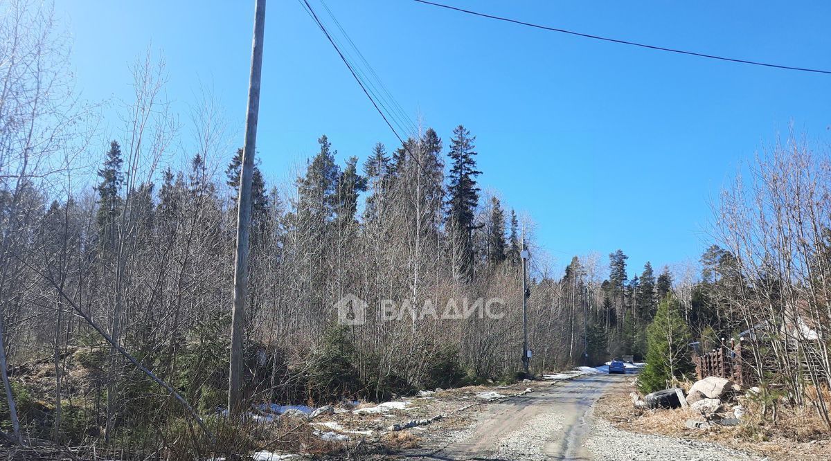 земля г Петрозаводск пер 5-й Родниковый фото 10