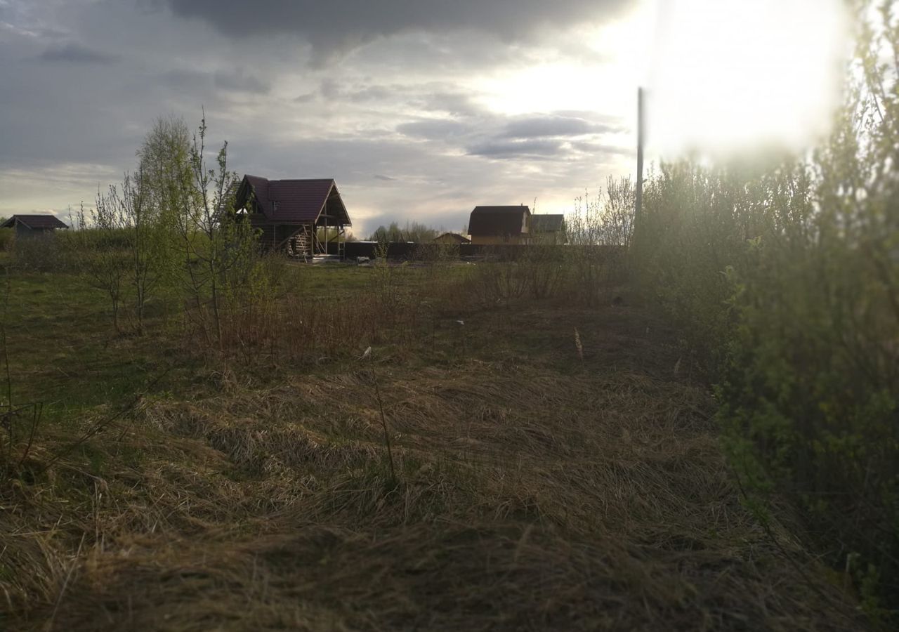 земля р-н Новгородский д Васильевское Ракомское сельское поселение, Панковка фото 4